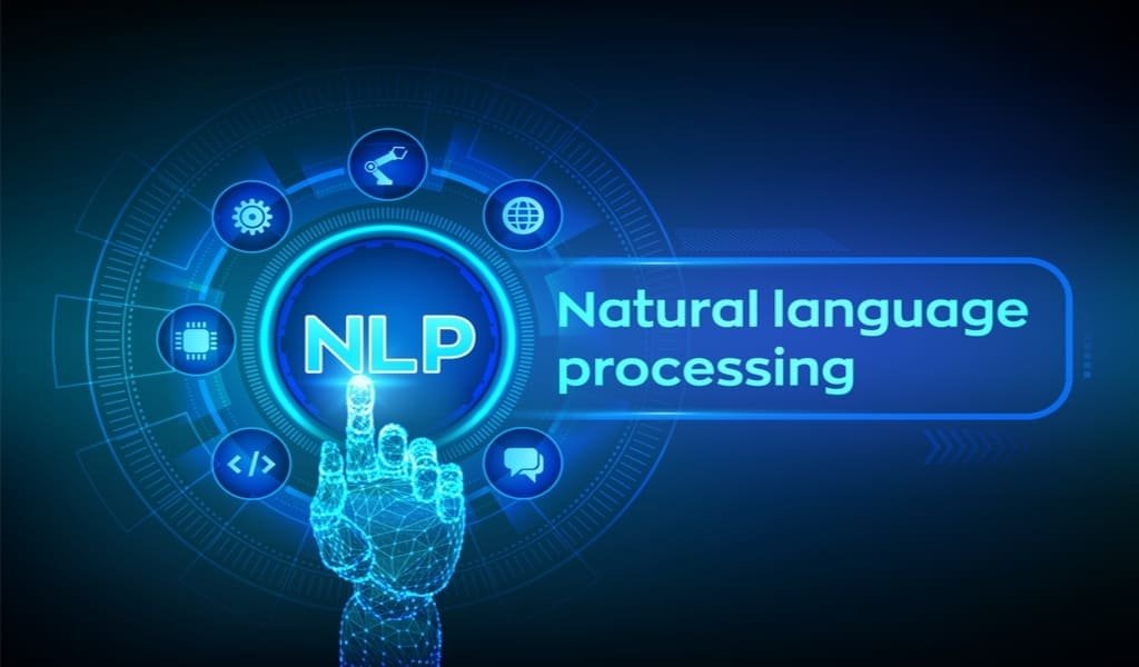 Natural Language Processing (NLP)